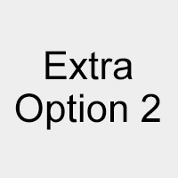 Extra Option 2