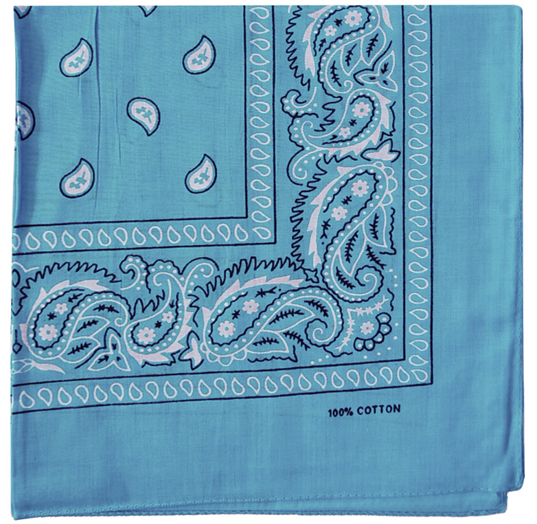 Paisley Print Cotton Bandana | Wholesale Bulk Order Welcome