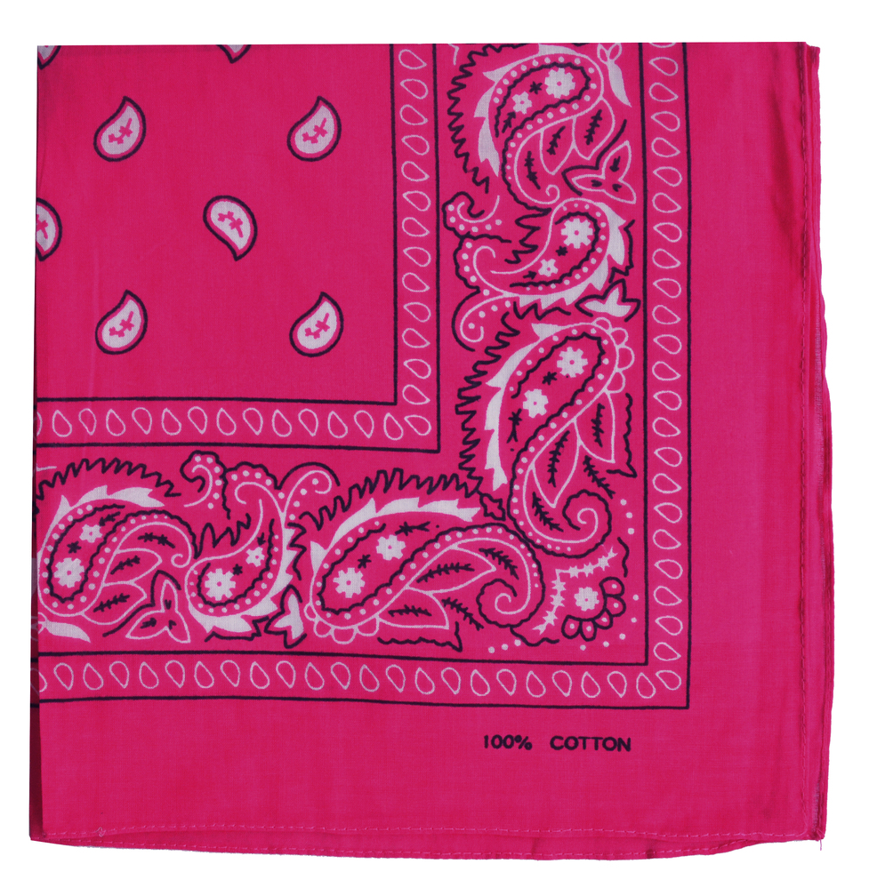 Paisley Print Cotton Bandana 